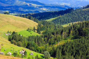 Mountain village. Summer country landscape with fir forest on slope (Carpathian, Ukraine, Verkhovyna district, Ivano-Frankivsk region).