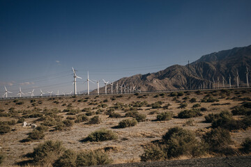 Joshua Tree National Park in California