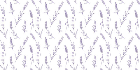 Seamless floral pattern with purple lavender. Botanical background
