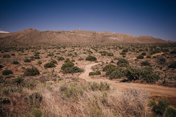 Joshua Tree National Park in California