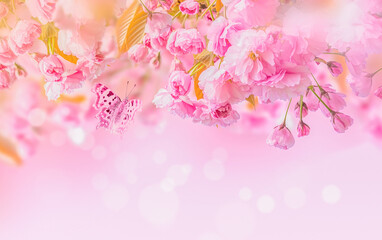 Sakura flower cherry blossom. Greeting card background template. Shallow depth. Soft toned