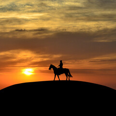 Fototapeta na wymiar Horseback rider at sunset