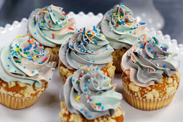 rainbow frosted vanilla flavored cupcake or muffin with sprinkles
