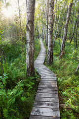 Obraz premium Poleski National Park in Poland. Lubelskie, Poland.