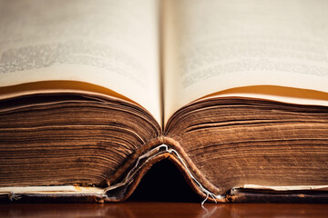 150 year old Bible pages