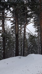 snow, winter, mountain, landscape, mountains, ski, nature, cold, sky, alps, resort, peak, skiing, white, panorama, travel,  sport, season, ice, slope, clouds, vacation, view, sarıalan, kartalkaya