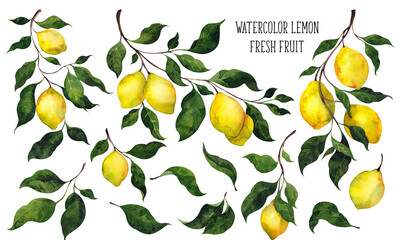 Watercolor clipart. Fresh lemon illustration with fruits and green leaf, isolated on white background - obrazy, fototapety, plakaty