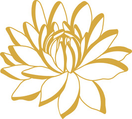 magnolia in golden color, vector illustration, flower © Tetiana Komarytska