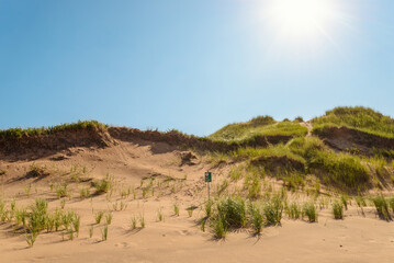 Brackley Beach Sand Dunes (Prince Edward Island, Canada)