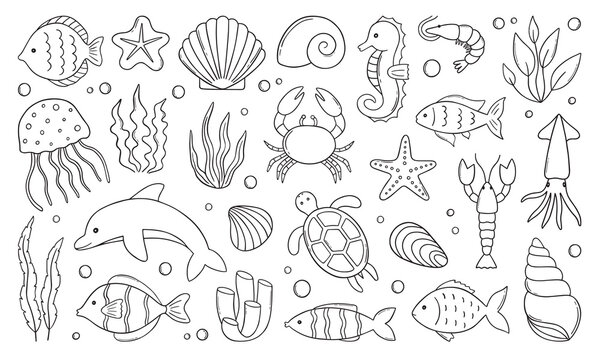 Sea Animal Outline Images – Browse 168,133 Stock Photos, Vectors, and Video | Adobe Stock sea-animal-outline-images-browse-168-133-stock-photos-vectors-and-video-adobe-stock