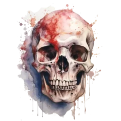 Fototapete Aquarellschädel funny skull in watercolor design islolated against transparent background