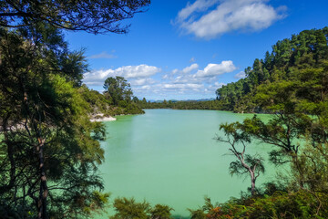 green lake in Waiotapu geothermal area, Rotorua, New Zealand - obrazy, fototapety, plakaty
