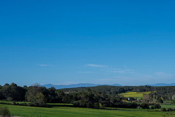 Fototapeta na wymiar Blue sunny sky on a green meadow field beautiful landscape