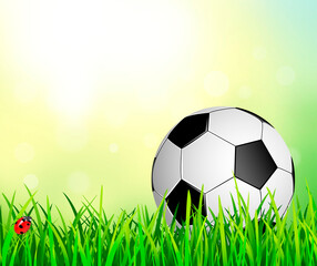 Fototapeta premium Soccer ball on an abstract background.
