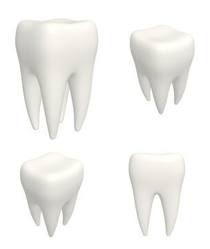 Collection of human teeths 3d models. View from different angles. Objects isolated on white background. 3d render