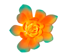 neon orange cyan trippy flower cactus isolated on white