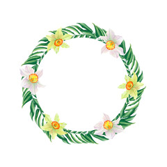 Watercolor wreath of leaves and flowers of daffodils on a transparent background. Hand drawn illustration. Round frame for poster, invitation, postcard and background templates.