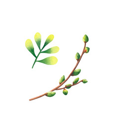 Set of watercolor twigs with buds on a transparent background. Hand drawn illustration. Design element.