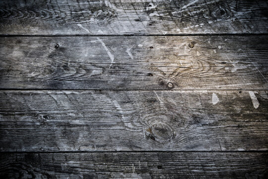Texture of old boards. Patterns with knots on wood of gray color.