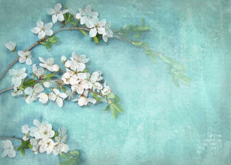 Light background with white flowers on a tree branch. May be used for a graphic art, as a greeting or gift layout, wallpaper, web template.