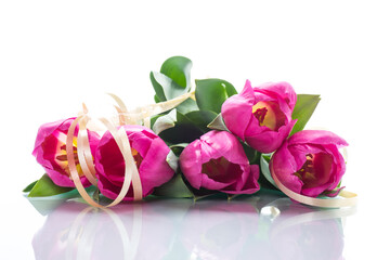 bouquet of pink tulips on a white background