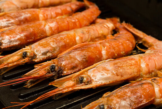 langoustines group seafood cooking on the grill appetizing delicious lunch dinner