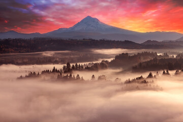 Naklejka premium Foggy Sunrise over Sandy River Valley and Mount Hood in Oregon