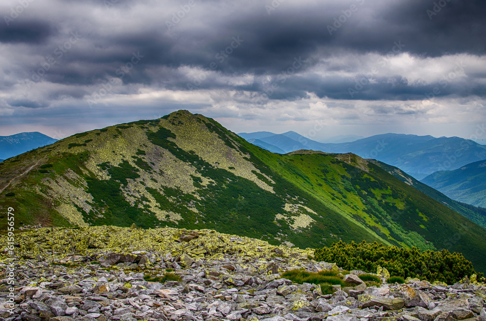 Canvas Prints The landscape on the Carpathian Mountains in Ukraine on a summer day