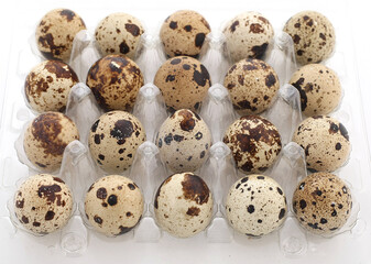 Fototapeta premium quail eggs in a plastic tray on a white background close-up