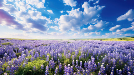 Fototapeta na wymiar flower field and sky created with Generative AI technology