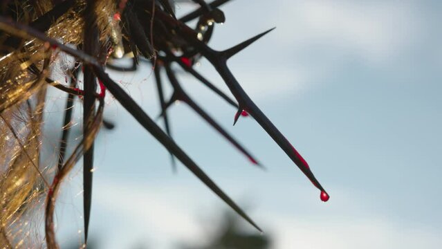 Blood dripping from the King's crown. Focused, Depth Of Field