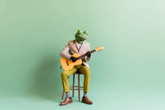 frog playing guitar 