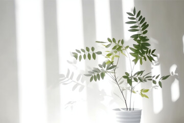 Blurred shadow from leaves plants on the white wall. Minimal abstract background for product presentation. Ai