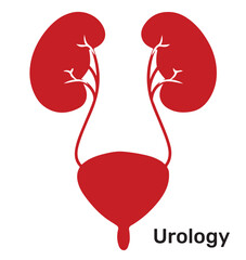 Urología, Urology