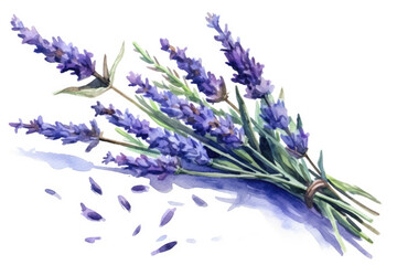 watercolor of Lavender isolated created with Generative AI technology