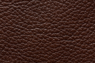 Expensive leather texture in saturated brown colour. High resolution photo.