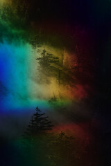 Obraz na płótnie Canvas surrealism art in the foggy rainbow forrest