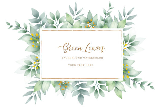 elegant green leaves watercolor background