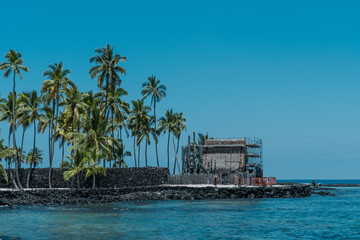 The coconut tree (Cocos nucifera) is a member of the palm tree family (Arecaceae) and the only living species of the genus Cocos. Big island, Pu'uhonua O Honaunau National Historical Park. 