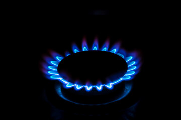 A gas burner with blue burning gas looks like flower