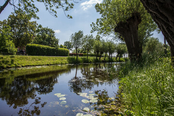 Fototapeta na wymiar Picturesque Dutch landscape with a calm river surface on a summer day in a blue sky in the Netherlands beauty in nature