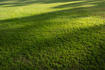 Background texture of green and healthy grass lawn in natural sunlight with shadows of trees shade....