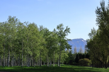 春の前田森林公園と手稲山