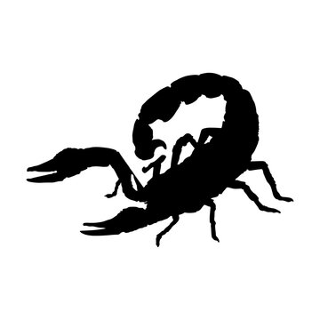 Standing Scorpion Silhouette. Good To Use For Element Print Book, Animal Book and Animal Content