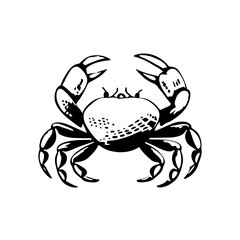 Handdrawn Crab Illustration Logo