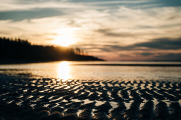 Obraz premium ground level view of desert sand at sunset
