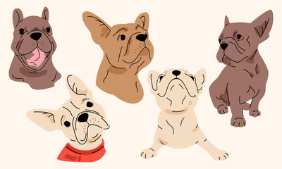 Vector set of cute French bulldog dogs. Cartoon flat style

