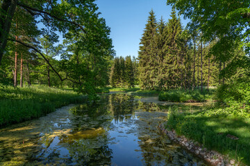 Fototapeta na wymiar View of the the Upper Ponds in the Catherine Park of Tsarskoye Selo on a sunny summer day, Pushkin, St. Petersburg, Russia