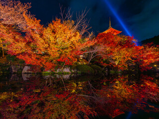 【旅行】ライトアップした秋の夜の京都の清水寺　リフレクション
