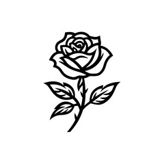 Rose Flower Illustration